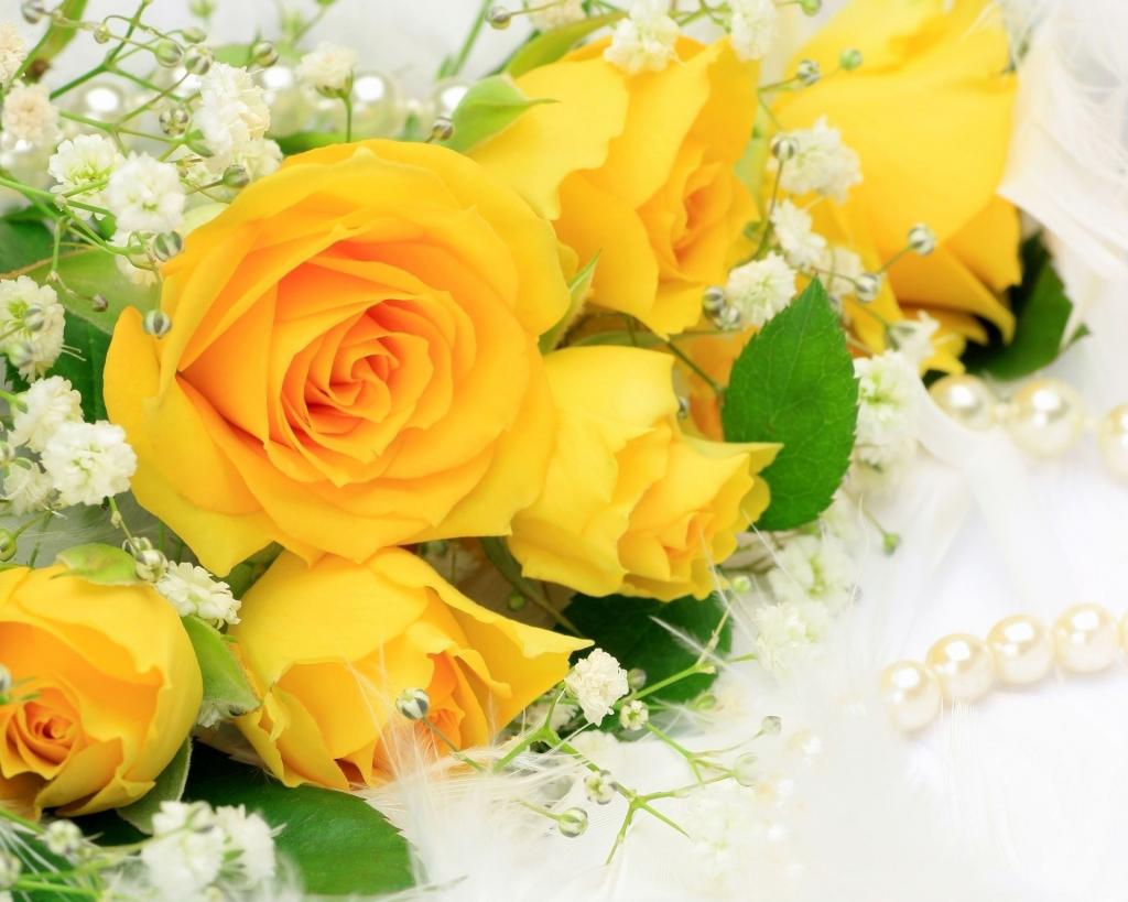 与白花的黄色玫瑰