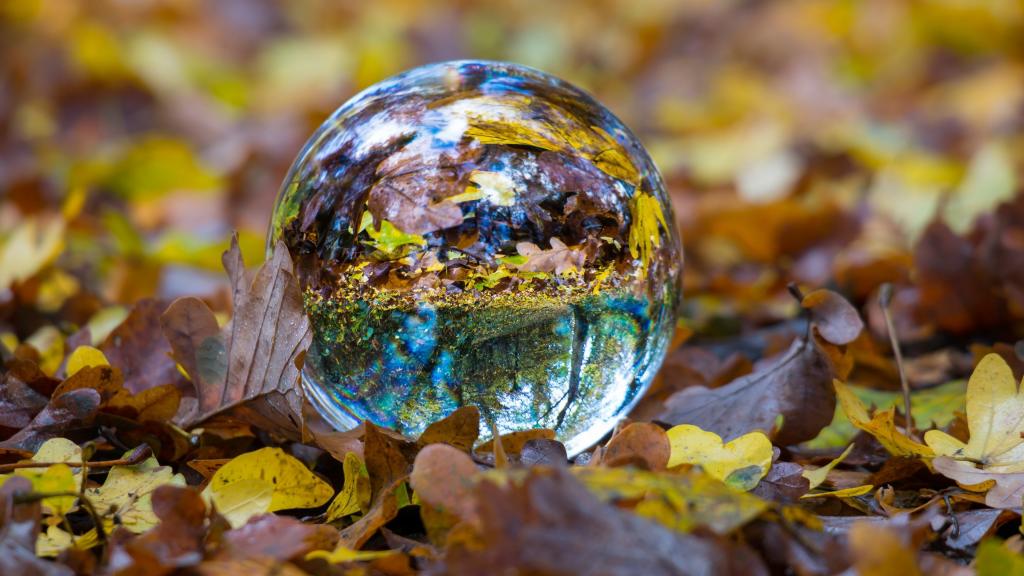 秋天，一个玻璃碗躺在干燥的黄色草地上