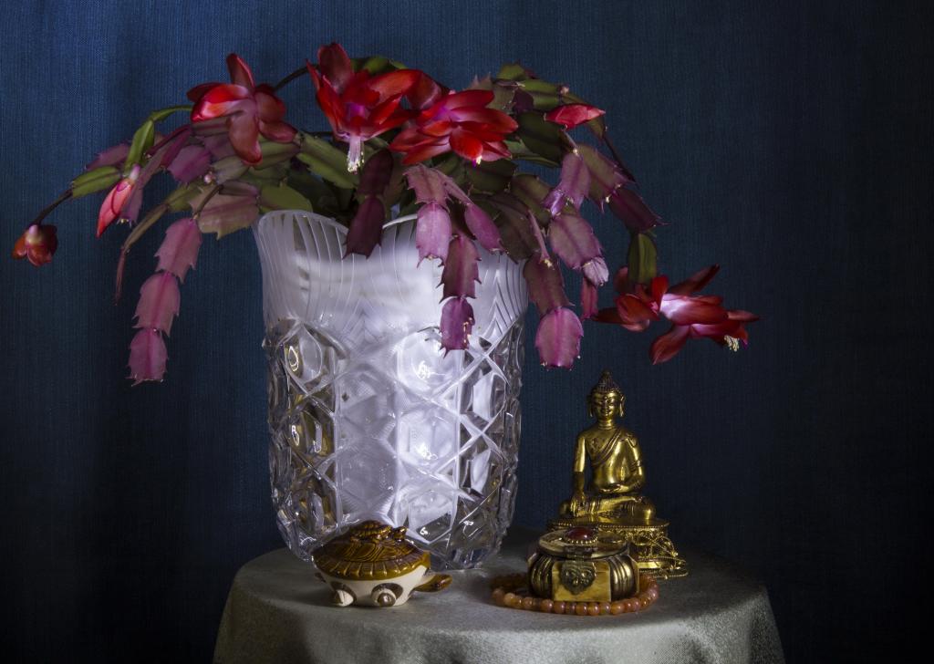 与雕像菩萨的开花的室内花Schlumberger在桌上