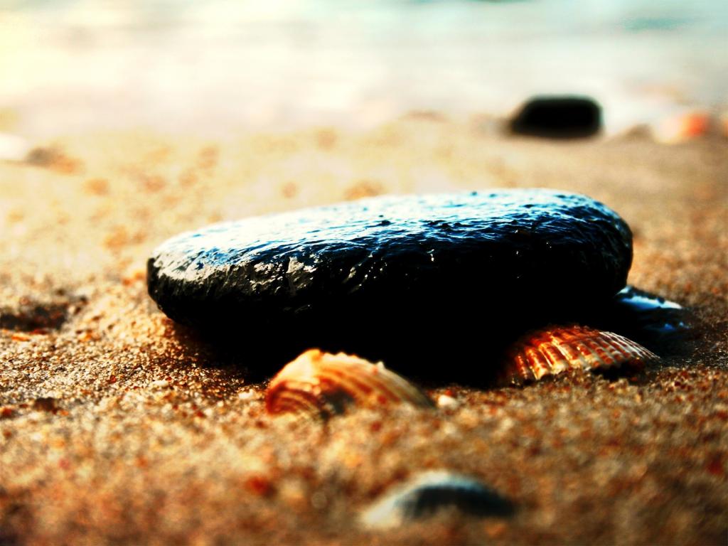 石头和贝壳