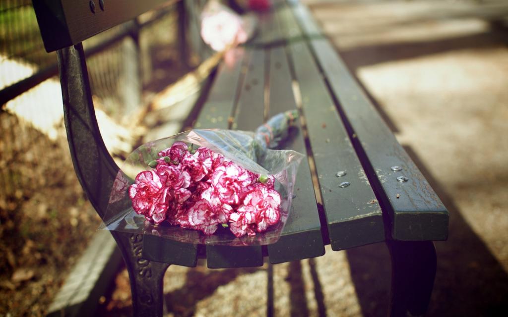 康乃馨在长凳上的花束
