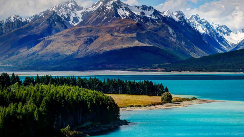 风景如画的特卡波湖在山，新西兰的背景中