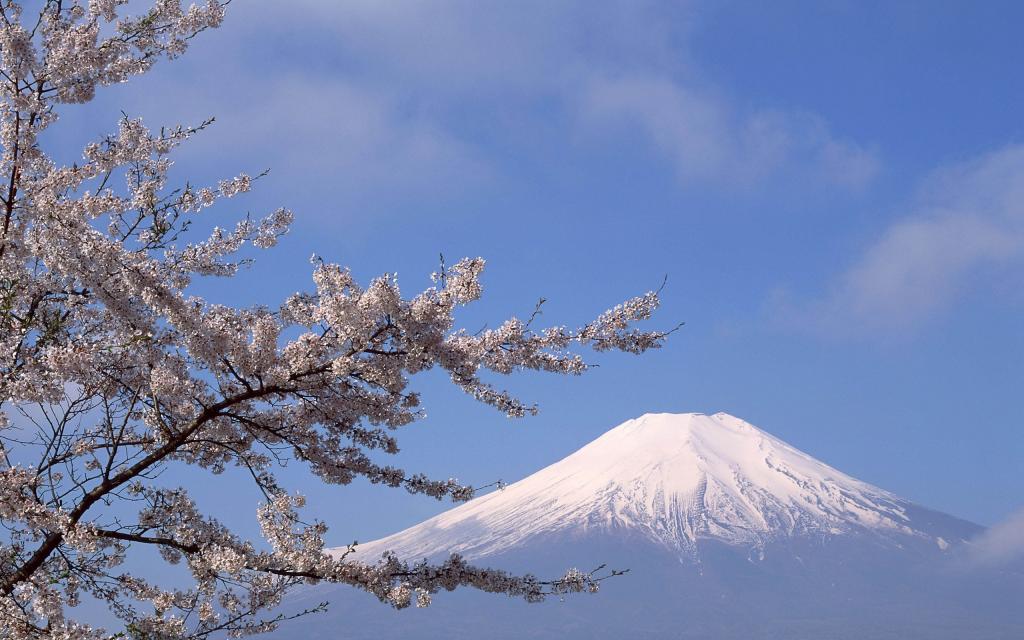 富士山白峰