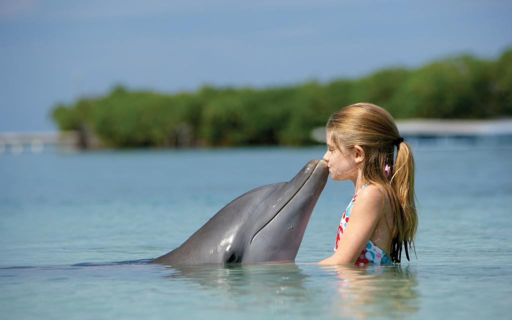 一个女孩吻了一只海豚
