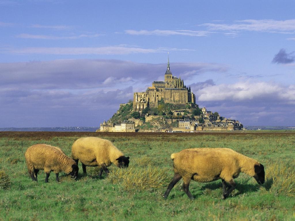 巨大的法国城堡