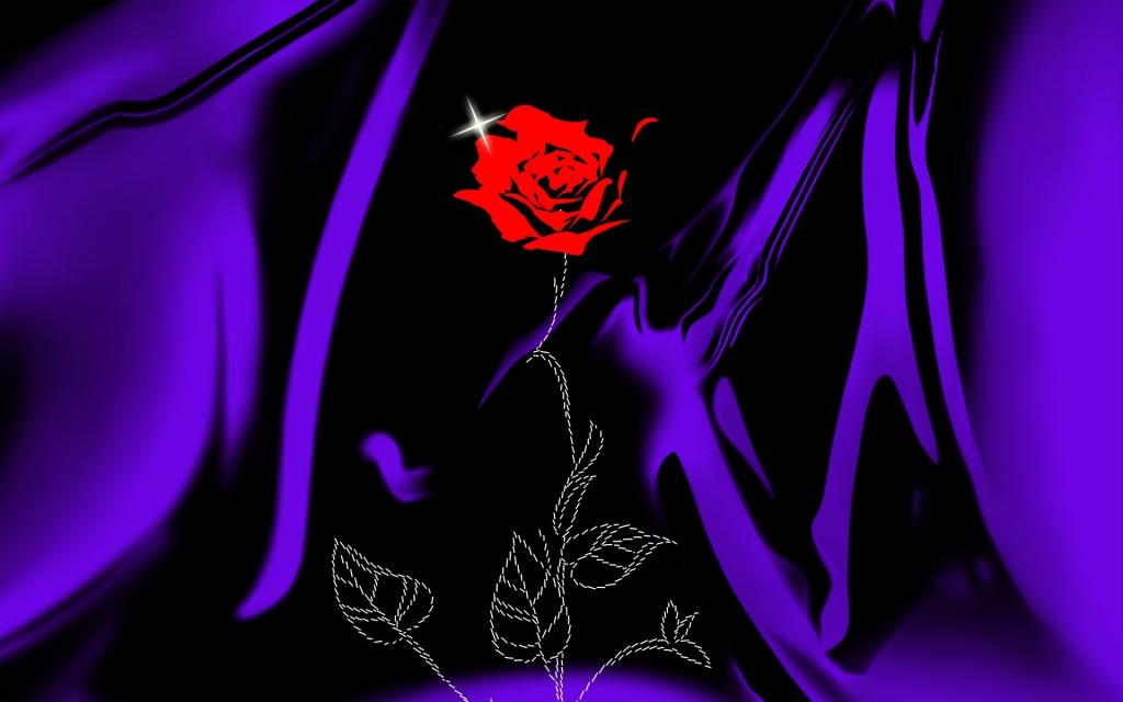 丁香织物上的玫瑰为情人节