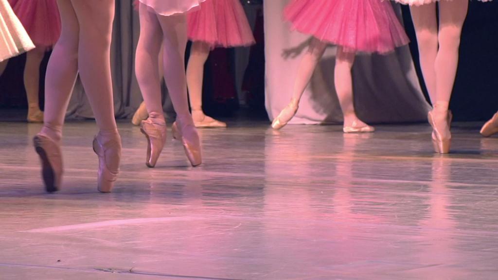 舞者的腿