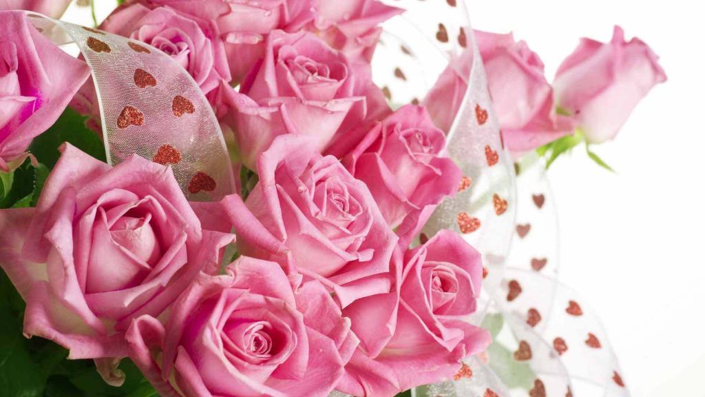 桃红色玫瑰花束女孩的3月8日 高清图片 壁纸 酷酷桌面