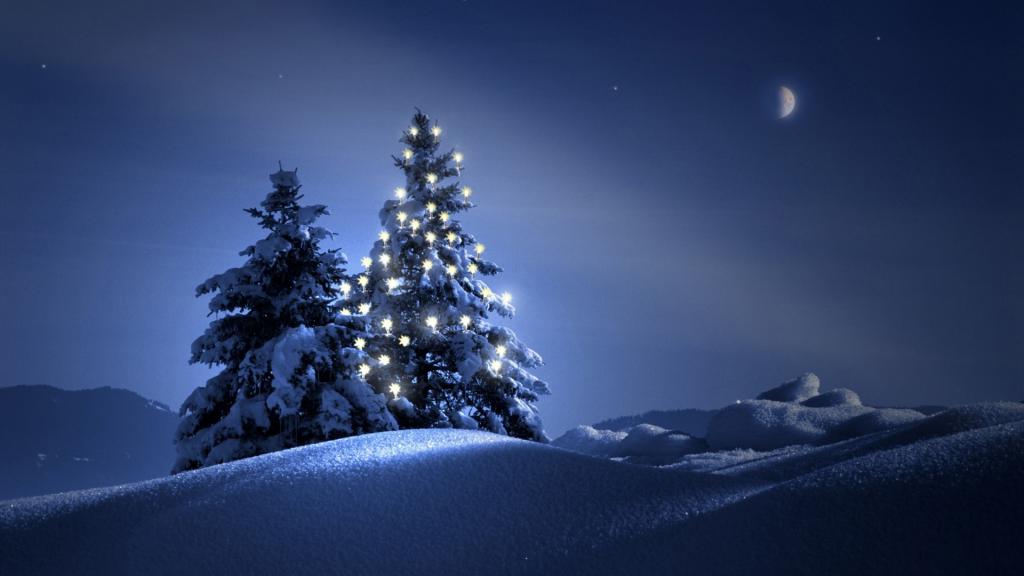 圣诞树在夜里