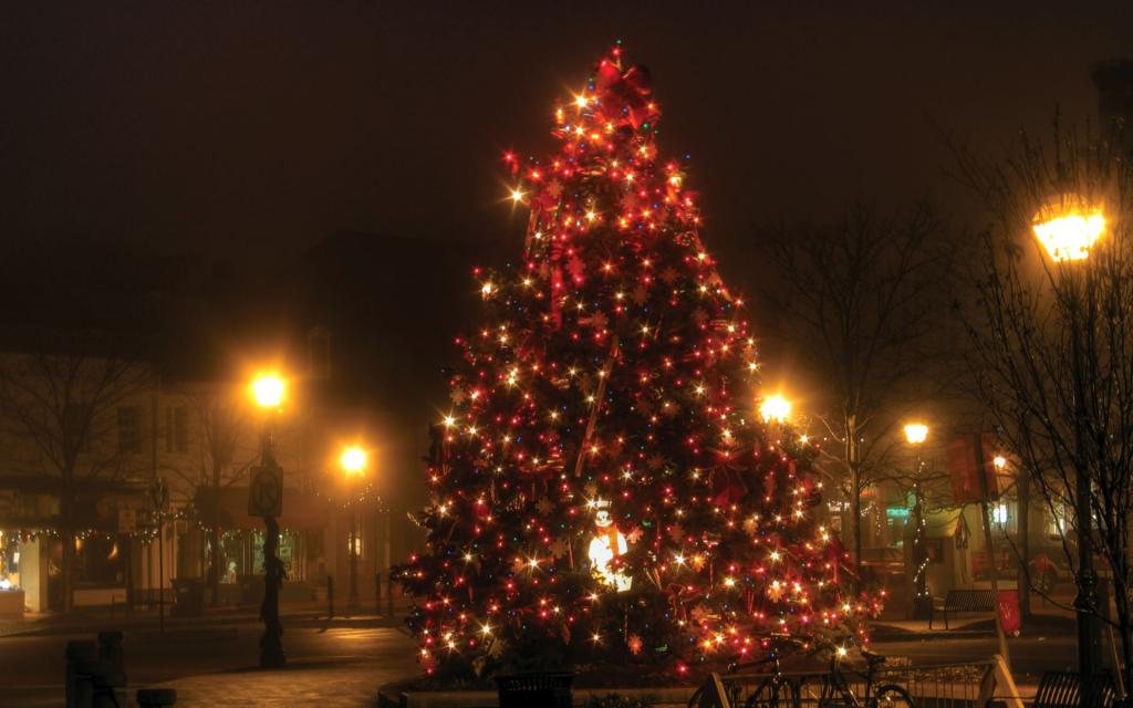 一个省镇的圣诞树