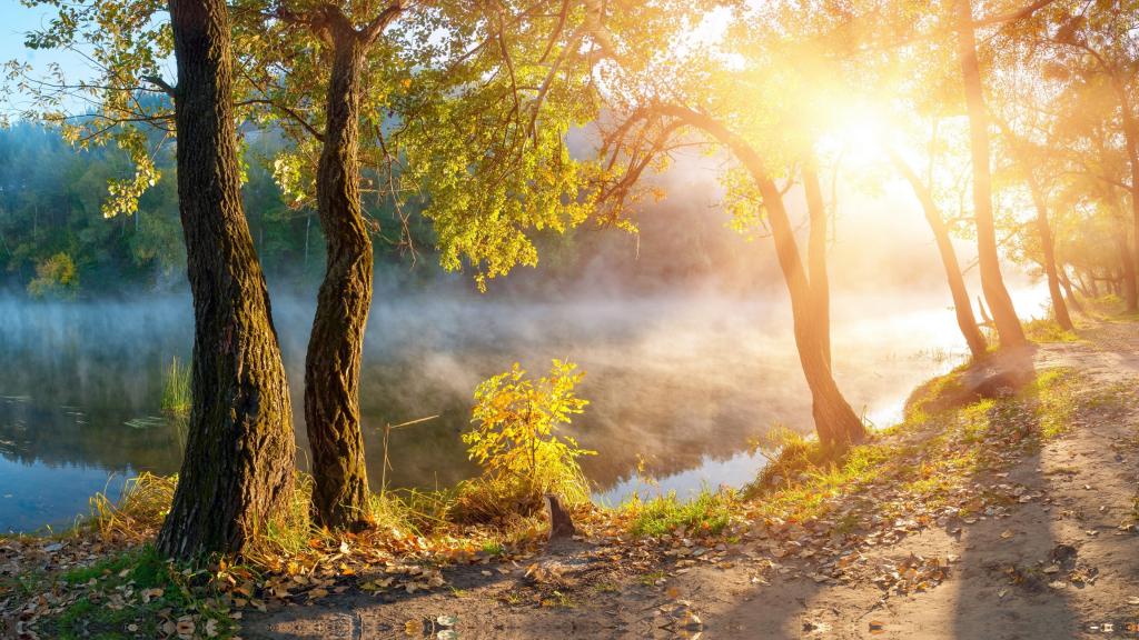 在太阳的光线在河的早晨薄雾在秋天