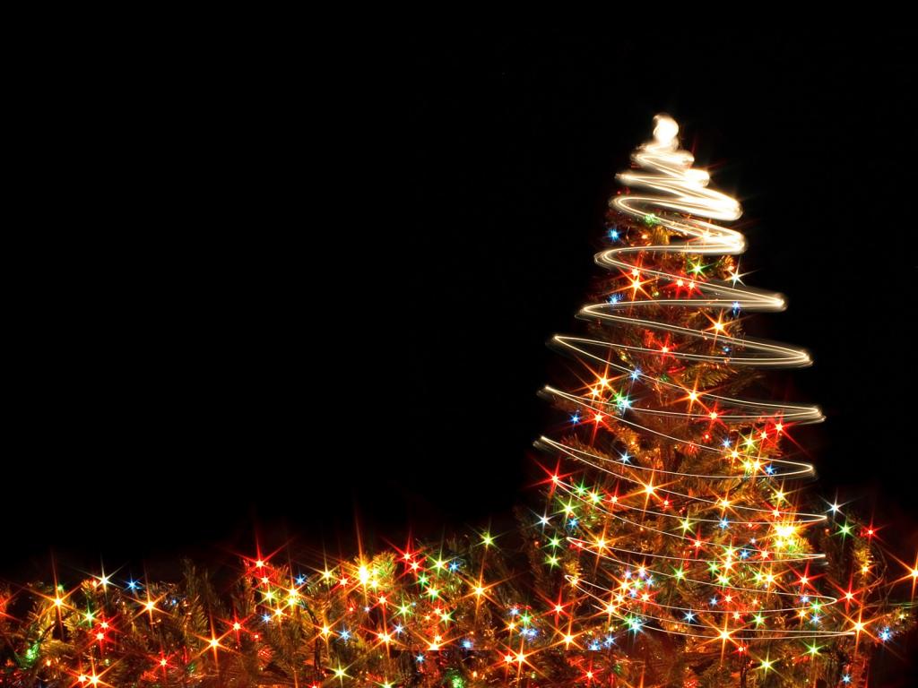 灯和圣诞树，圣诞节，黑色的背景