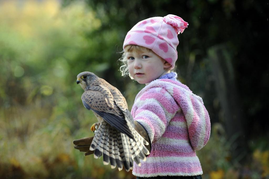 一只鸟的小女孩在她手上的一只猎鹰
