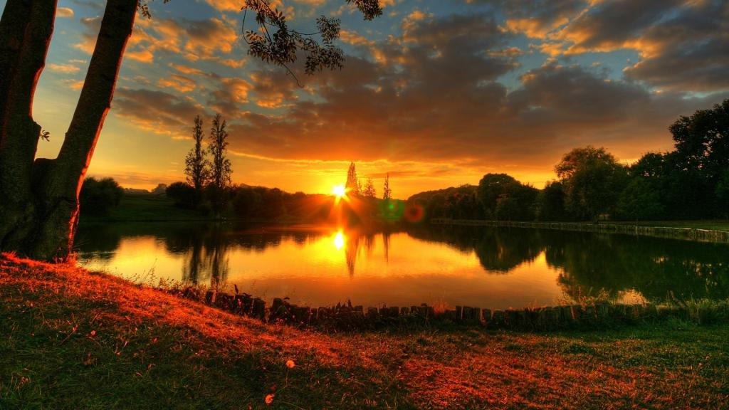 日落由森林湖