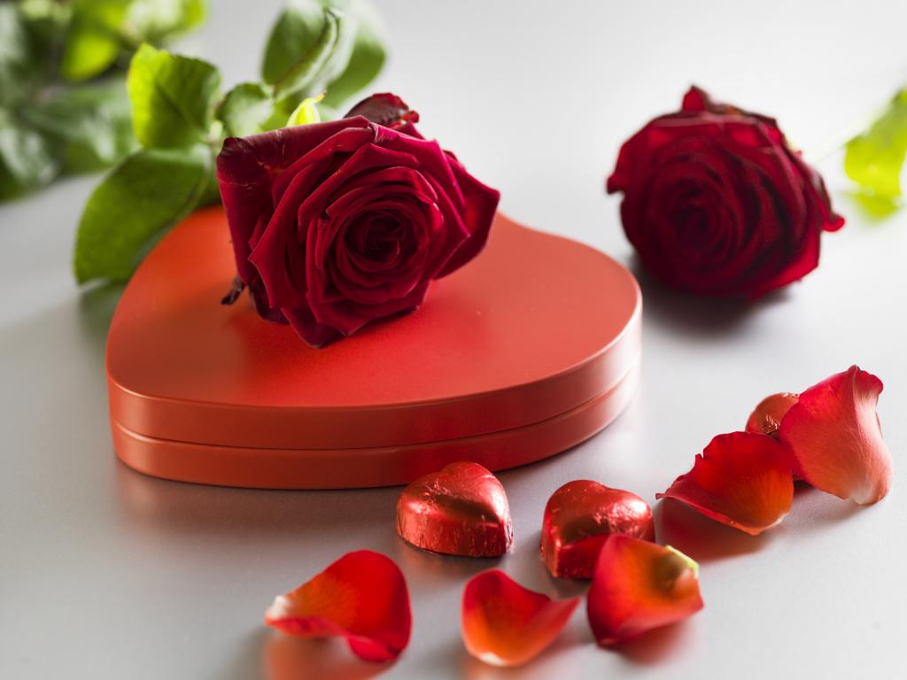 红色的心形巧克力糖果和红玫瑰的形状