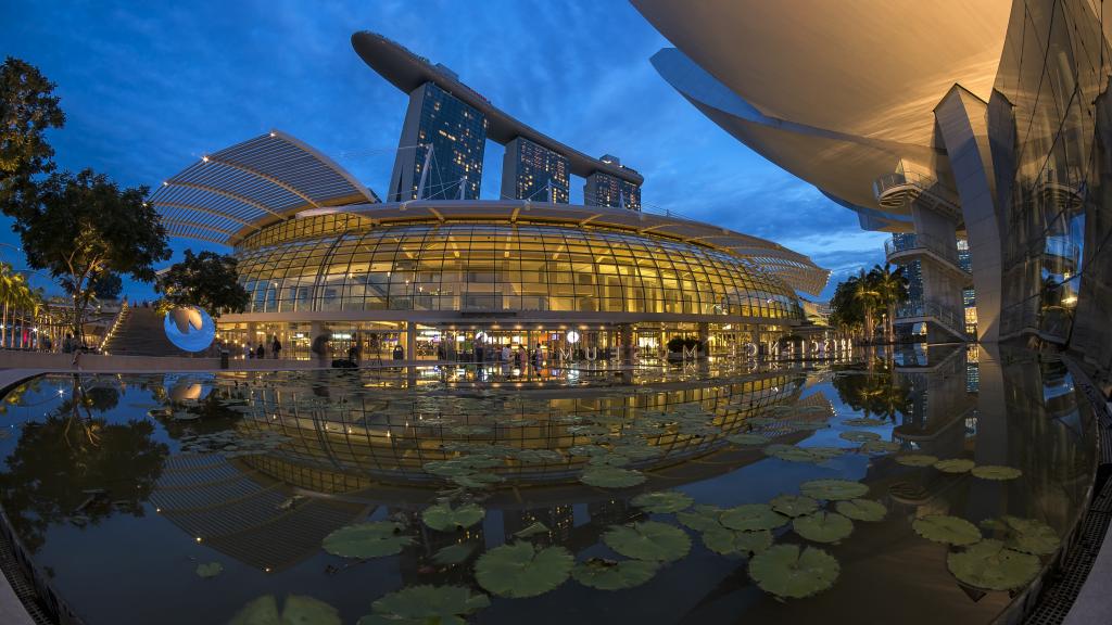 新加坡艺术和科学博物馆附近的池塘。