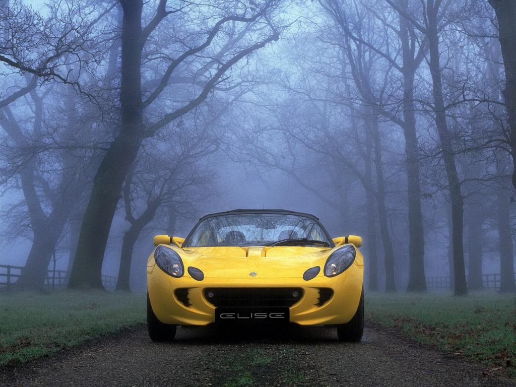 在雾中的黄色汽车