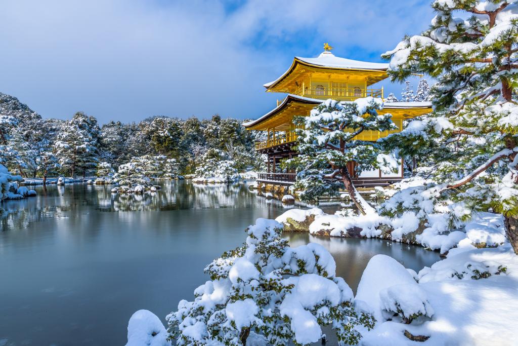 在冬天，日本，金阁寺附近的冰雪覆盖的树木和冰冷的池塘