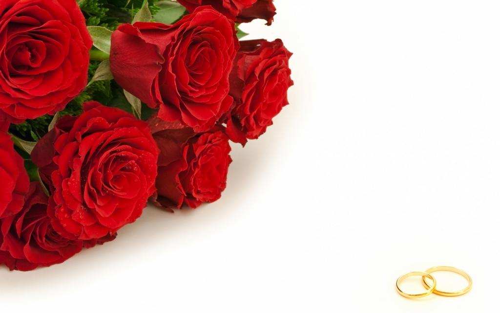 红玫瑰和金结婚戒指