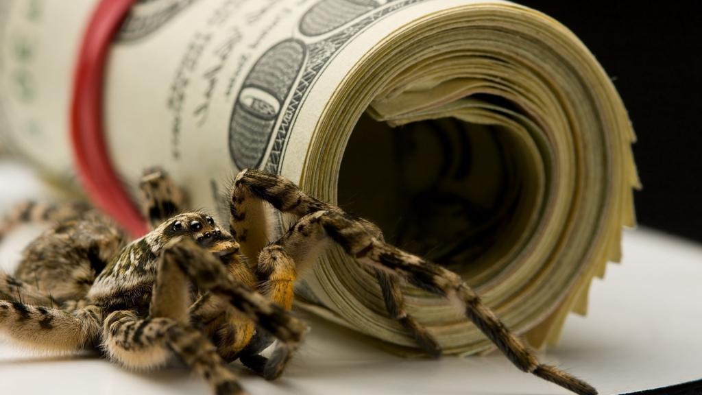 蜘蛛和美元的包