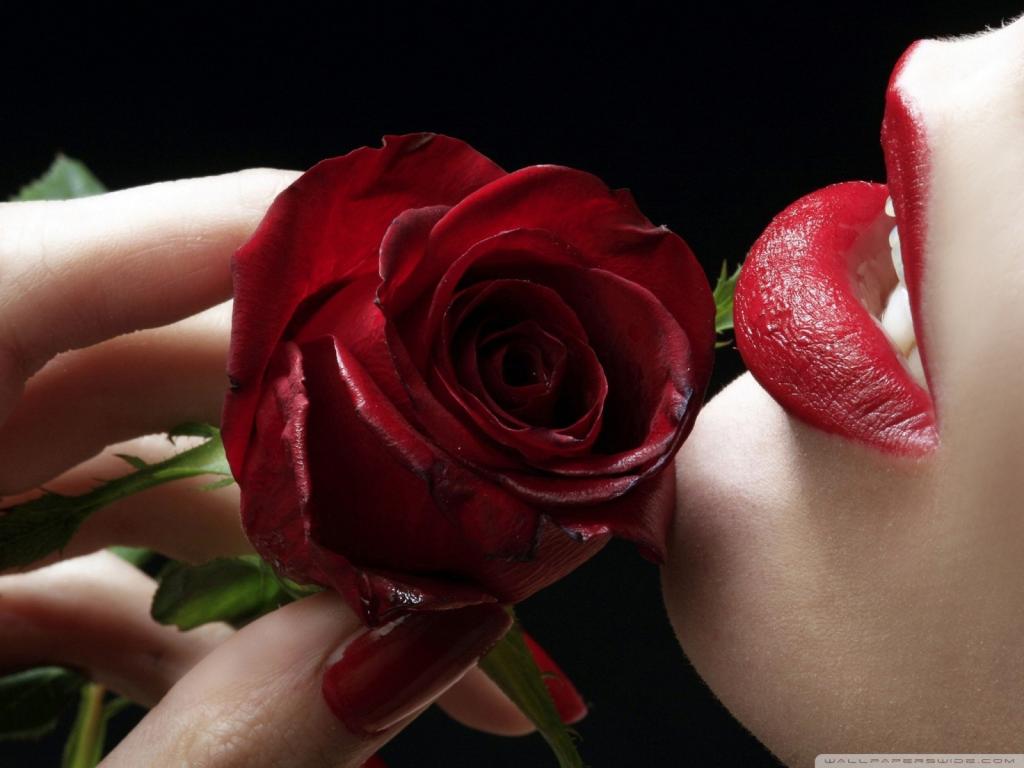 嘴唇和红色的玫瑰花瓣