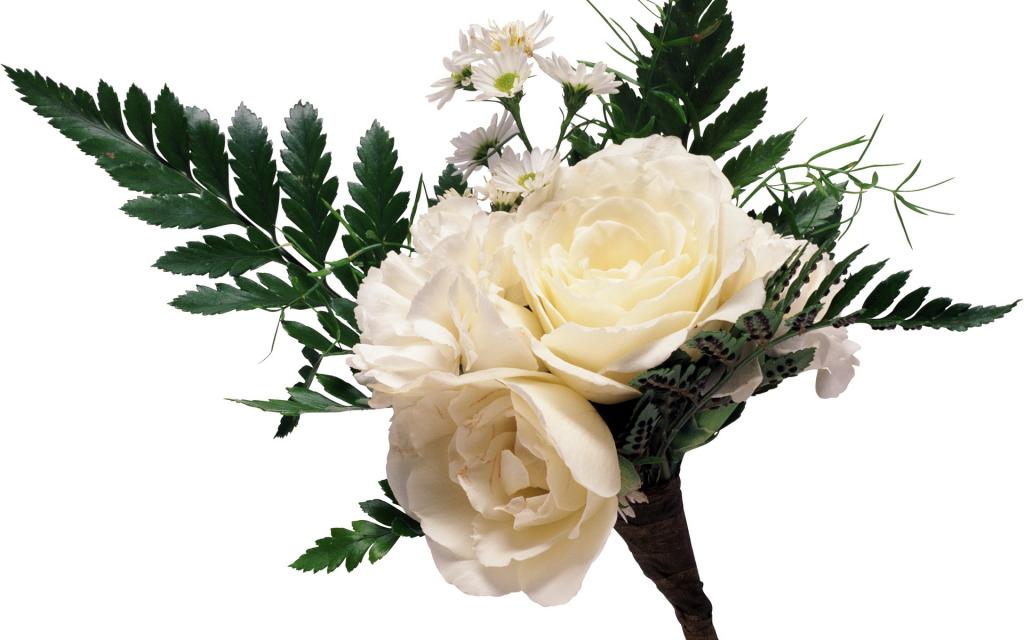 白玫瑰花束与雏菊和大绿色叶子在白色背景上