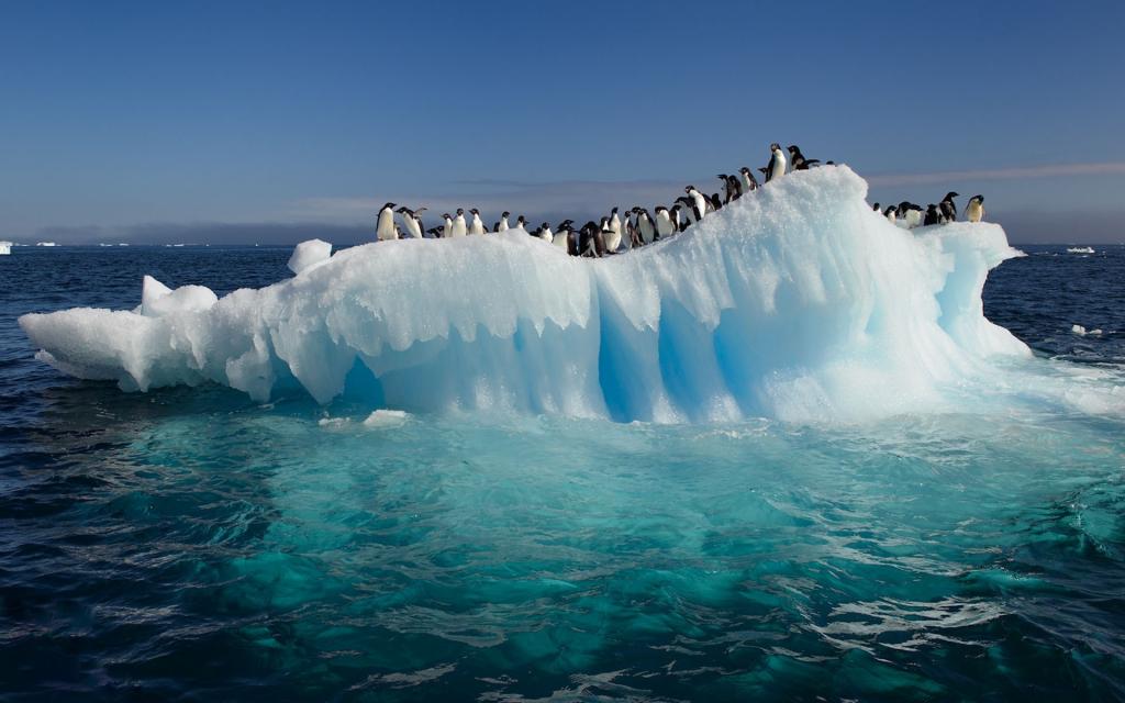 企鹅在融化的浮冰上