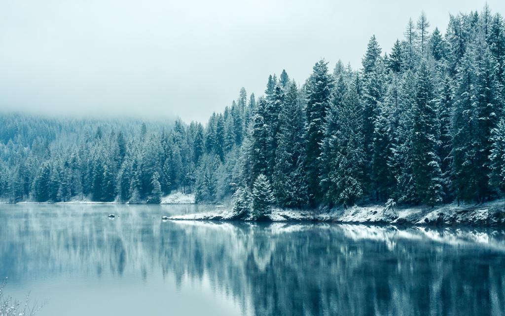 美丽的冬天，不列颠哥伦比亚省，