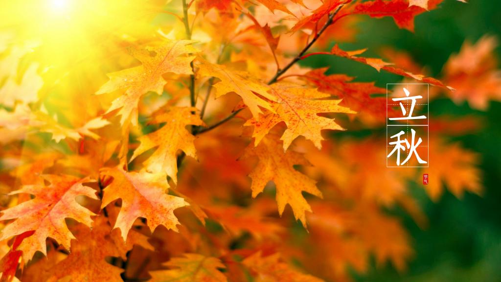 24节气关于立秋的图片
