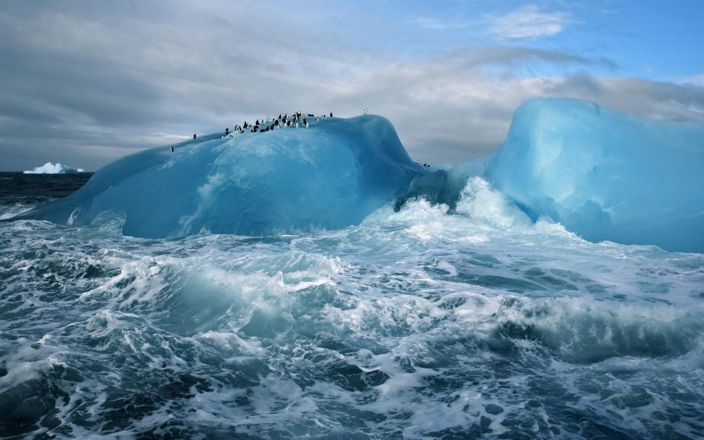 在一座冰山上的企鹅在波涛汹涌的海面