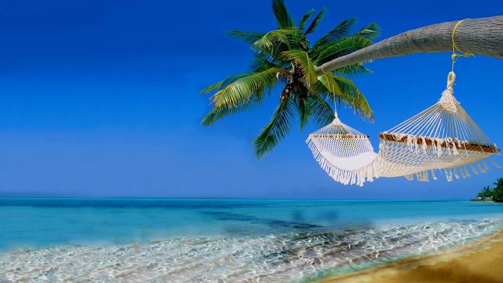 在清澈的海洋上的棕榈树上的白色吊床