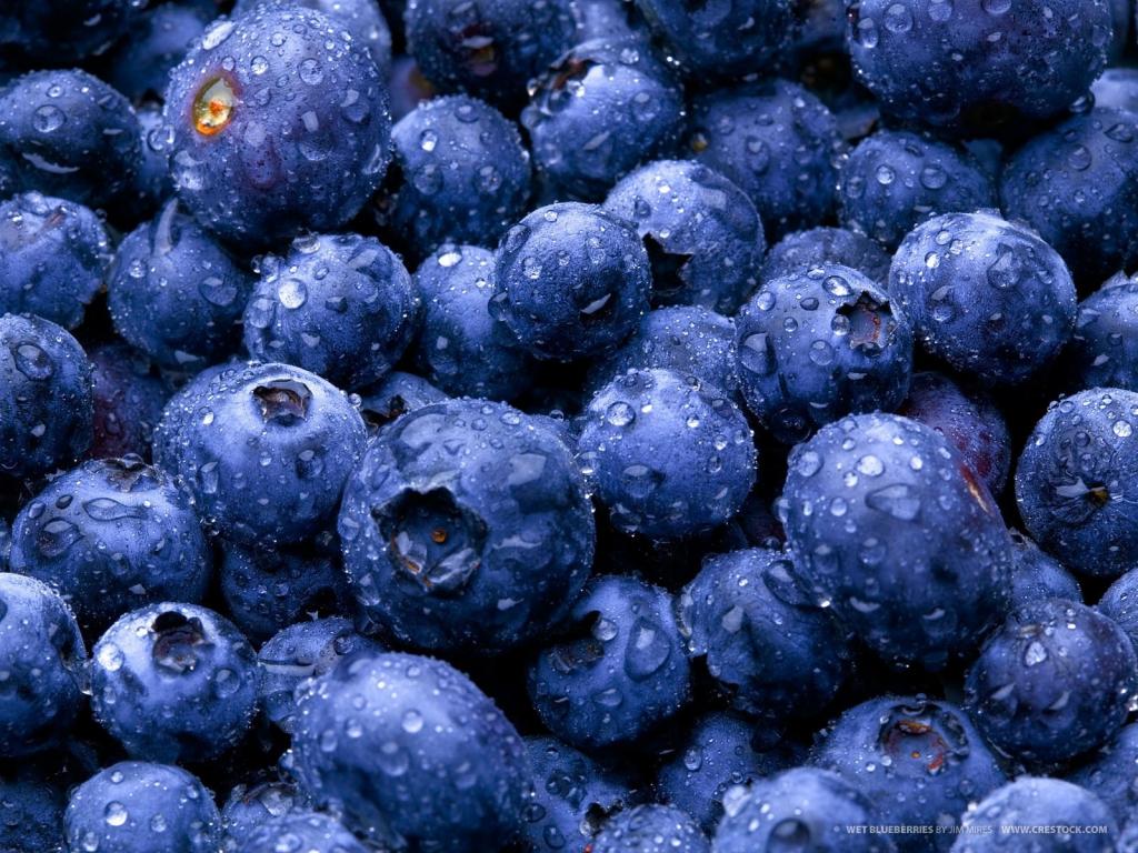 蓝莓在水滴