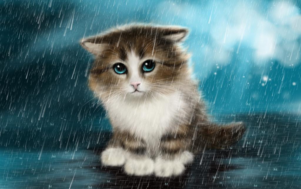 在雨中画一只小伤心的小猫