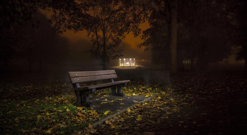 孤独的长凳在秋天的公园在晚上