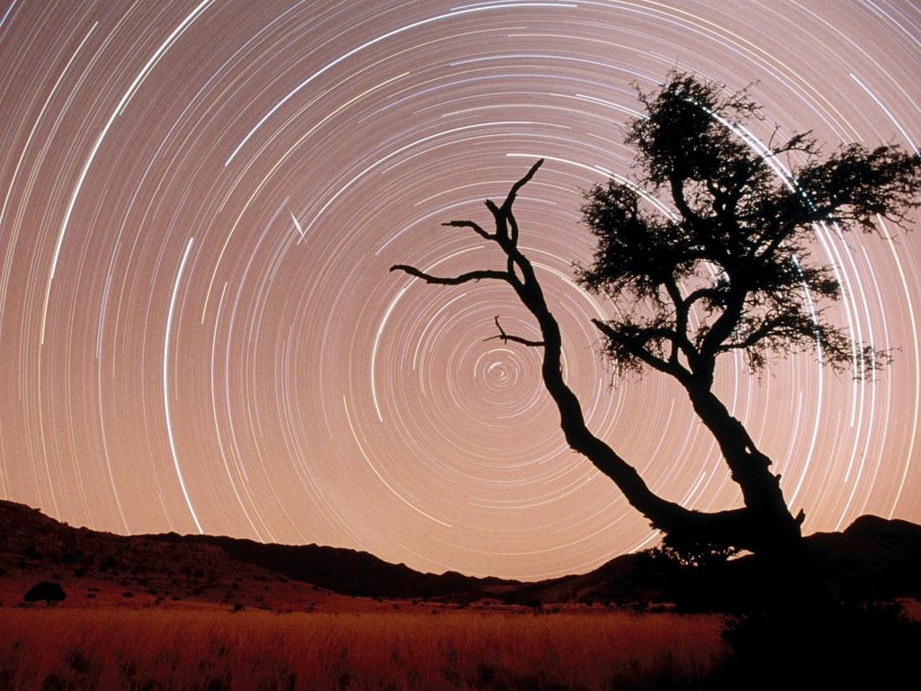 Star / Namib-Naukluft公园/纳米布沙漠/纳米比亚/非洲的痕迹