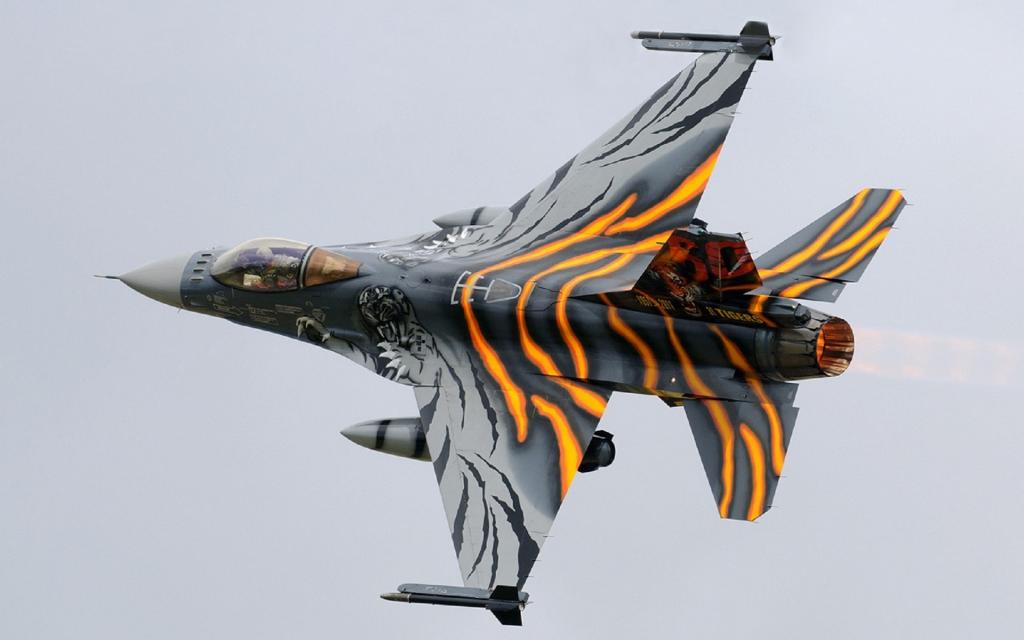 老虎着色飞机F-16