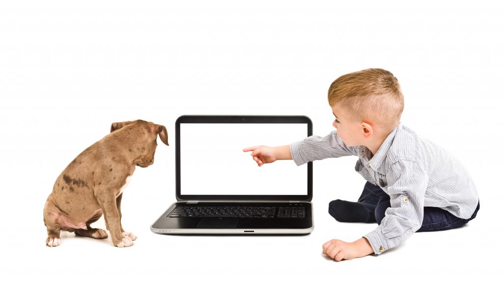 小男孩和一只小狗看着在白色背景上的笔记本电脑的屏幕