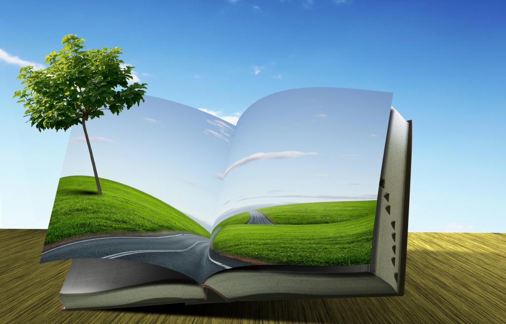 一棵绿树从蓝天背景上的一本书成长,高清图片,壁纸