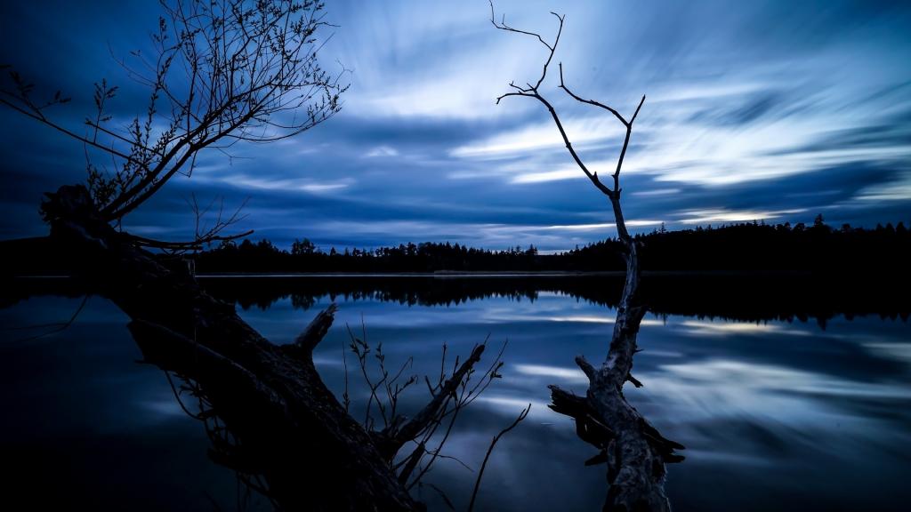 湖边的枯树在美丽的夜空下