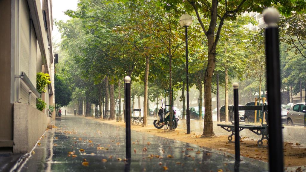巴黎的街道在雨中