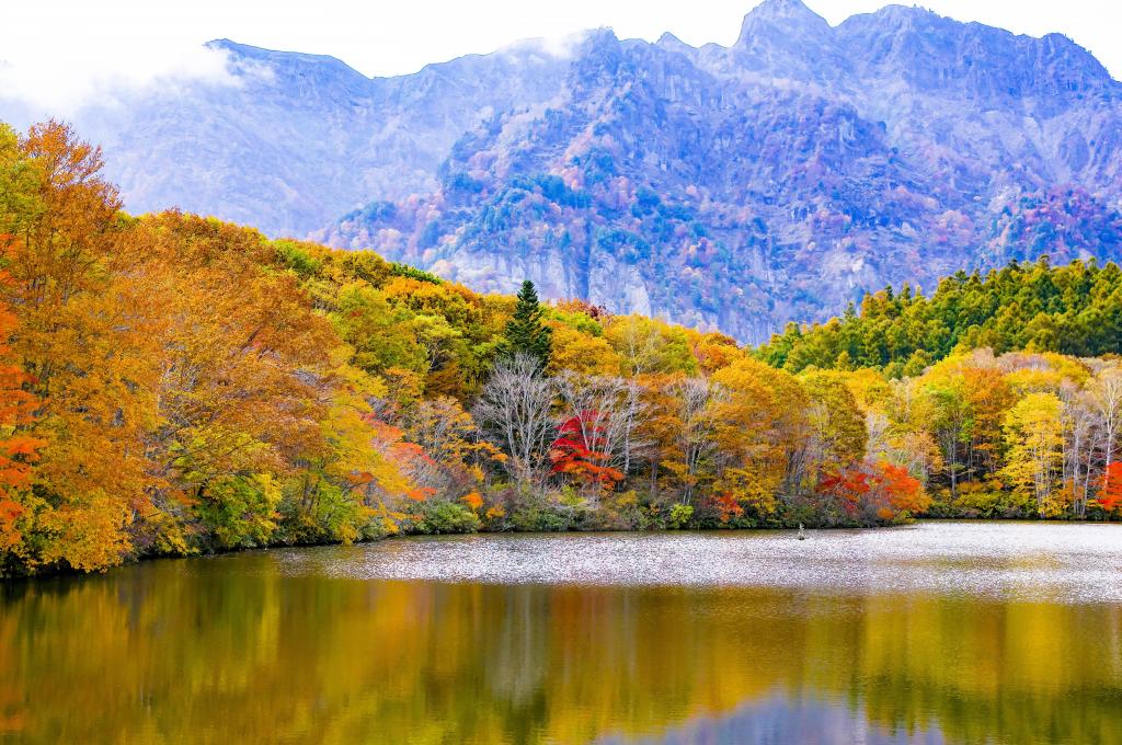 秋天的森林在日本山的背景下，湖面