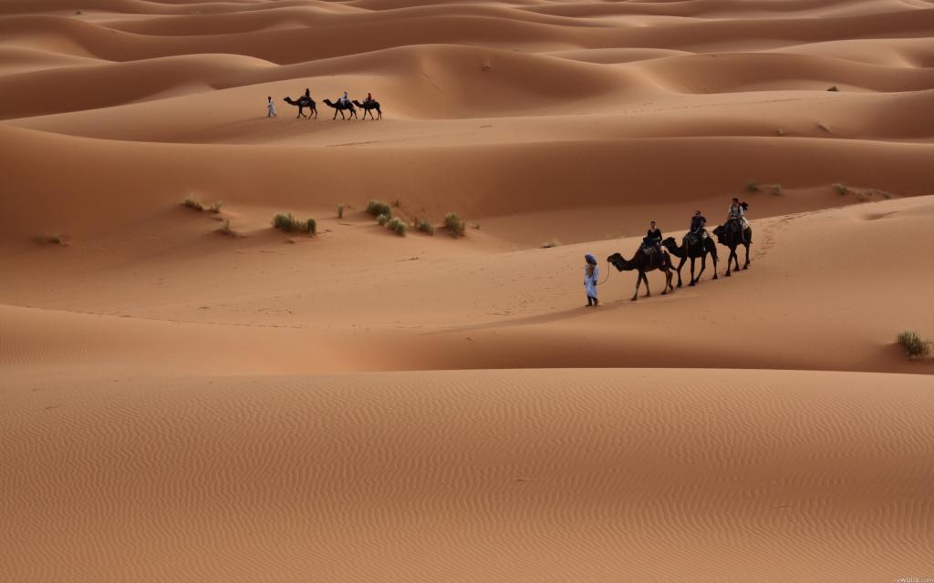 骑在沙漠中的骆驼