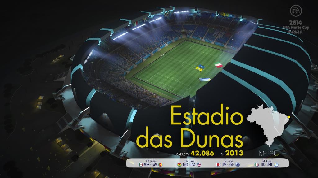 在2014年巴西世界杯的体育场沙丘