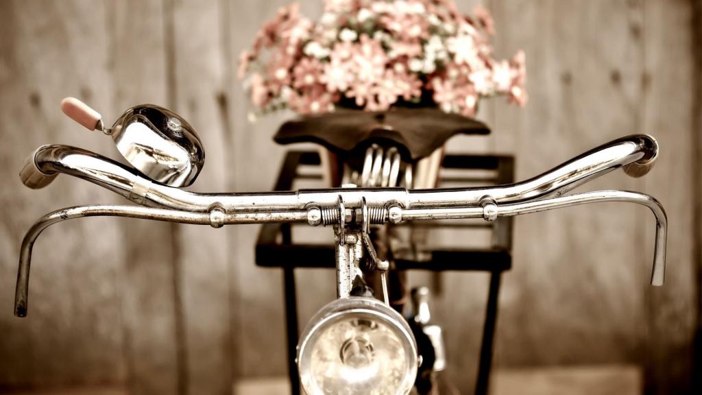自行车与鲜花