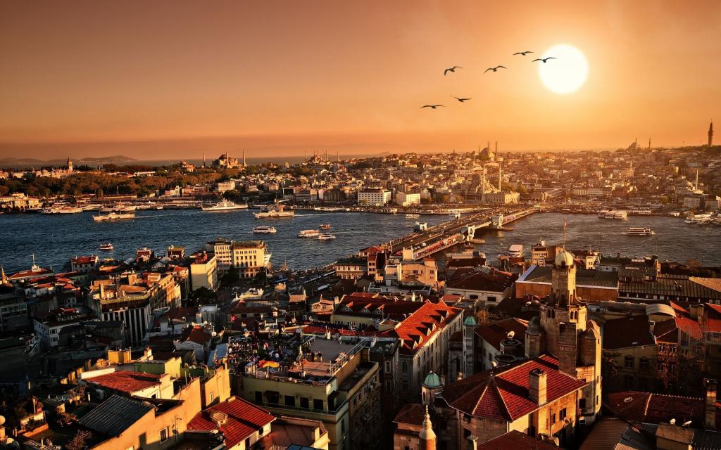 城市和桥梁的全景在伊斯坦布尔