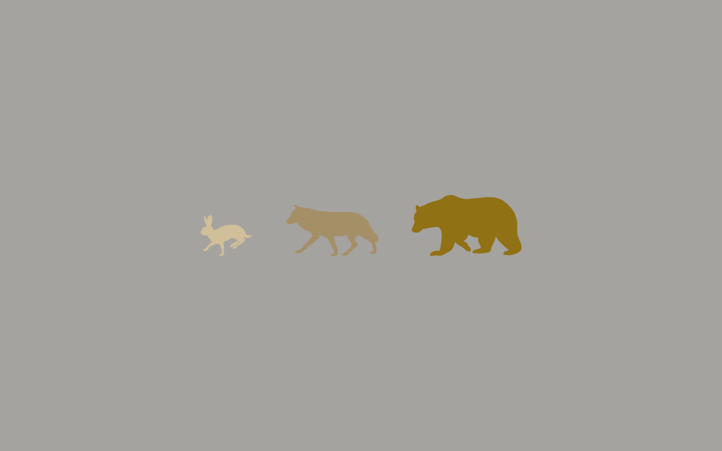 野兔，狼和熊，灰色的背景