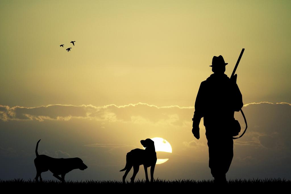 与狗的猎人在太阳的背景中