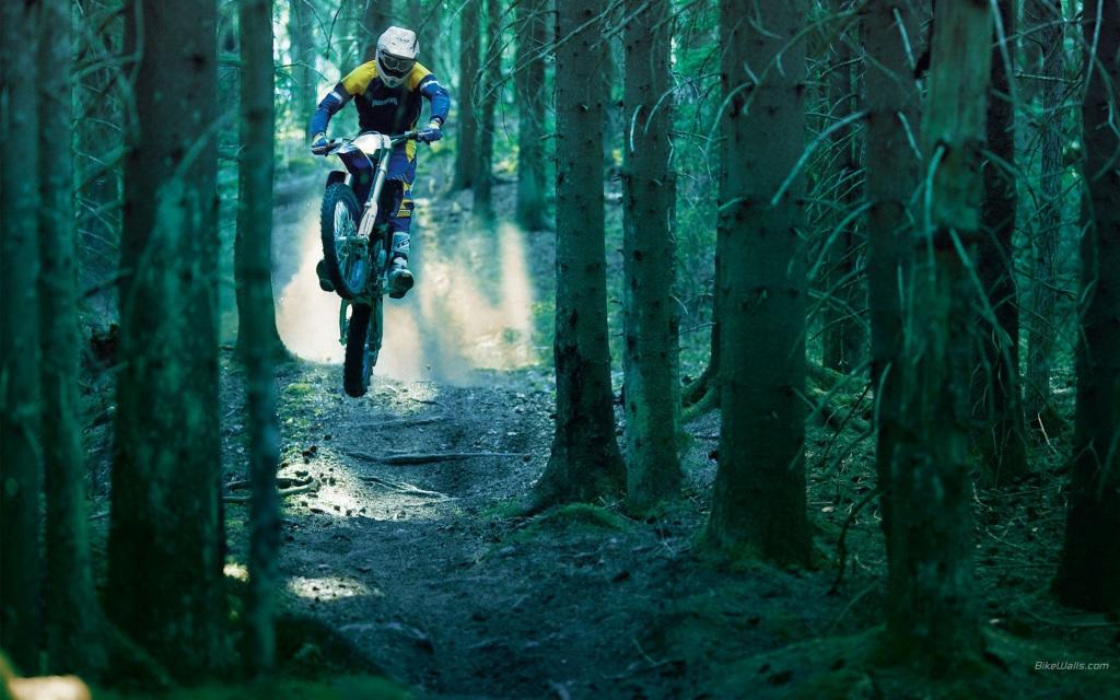 Motobike赛车手在森林里