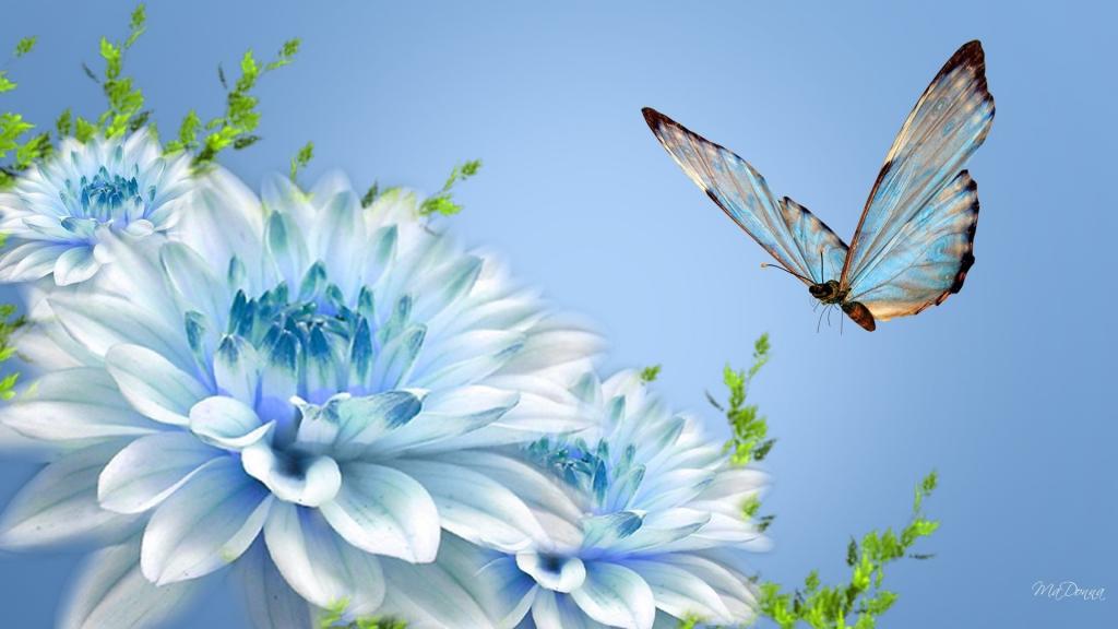 在一朵蓝色花的蝴蝶
