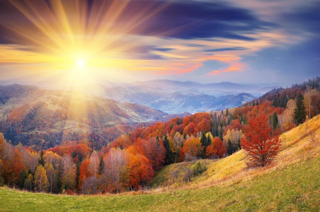 秋天的森林，在明亮的阳光照耀山背景的日出